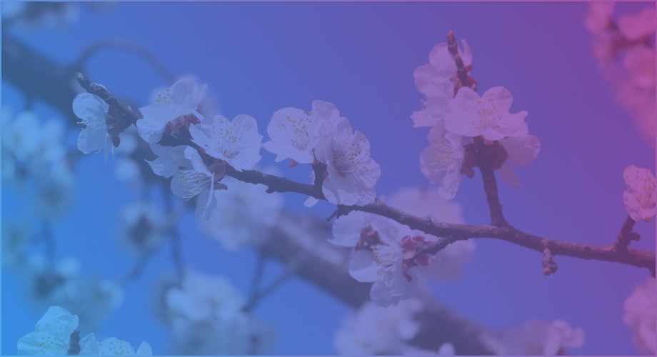 march sms templates recart header
